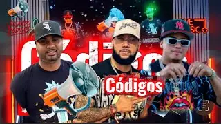 MORIYORK SE DESAHOGA CONTRA TODOS  Y VIOLA VARIOS CÓDIGOS FEO 