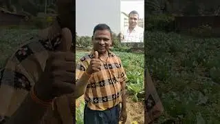 Customer review of Pro Grow Granules  of Proveda Products by Mr Prafula kumar patel, jharsuguda