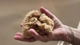 AE596L Sea Wool Sponge Large - at The Ceramic Shop!