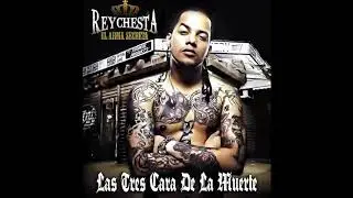 Kufa Castro x Noztra x Poerilla x Reychesta x Temperamento - Mucho Respeto