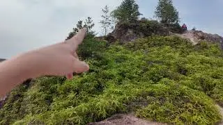Frog Hill 2025 | Travel Guide