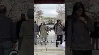 #sakuraemtoquio #sakuraspot #brasileirosnojapao #brasileirosnojapao🇧🇷🇯🇵 #japanlovers🇯🇵