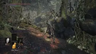 dark souls lll route des sacrifice direction sage de cristal