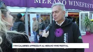 I VINI CALABRESI APPREZZATI AL MERANO WINE FESTIVAL