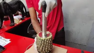 India's Most Advance Level Pineapple Cutting Machine | & Best Shake | Indian Street Food