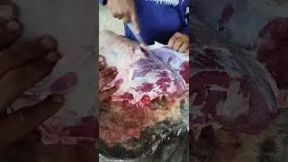 Village Meat Cutting Full Video #meat #meatmasterbd #youtubeshorts #youtube #youtuber #shorts