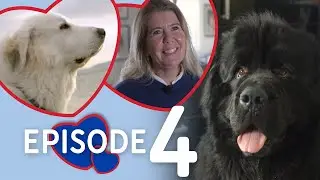 Anton - veien til kjærligheten | Episode 4 - Anton skal på date | VETIVO fra REMA 1000