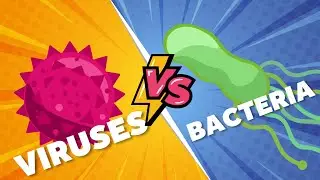 Tiny Titans: The Differences Between Viruses and Bacteria in the Battle for our Lives