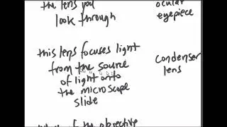 AP1 Lab quick review 3b #barnes