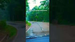 🚘Long Drive Therapy | Silent Healing🌙 #bittersweetness #love #song #viral #trending #youtube #shorts
