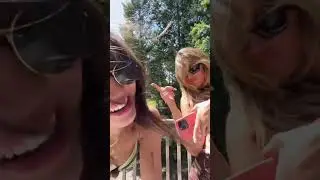 Tate McRae&rsquo;s latest Tik Tok&rsquo;s with Gabrielle Castro #tatemcrae #shorts #fyp