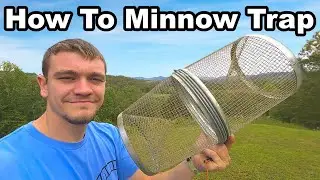 How To Set a Minnow Trap for Beginners!