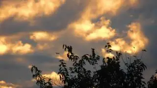 Sunset Clouds With A Surprise Jet ~ ROCK ON!!!!!!!