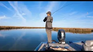 Your Livescope is Destroying the Sport of Fishing