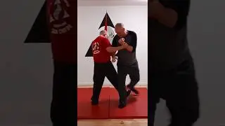San Chi Dao: Fluid Adaptation in Practice (Legwork).