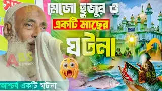 মেজো হুজুর ও একটি মাছের ঘটনা। পীর ওমর সিদ্দিকী ওয়াজ। Pir Allahma Omor Siddiqui Jalsa