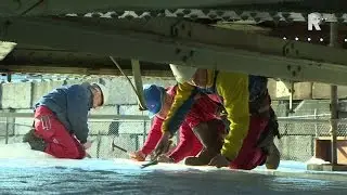 Verfbeurt Hef kost Rotterdam 7,8 miljoen euro