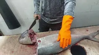 Amberjack Fish Cutting Skills | Amazing Knife Skills |How To Fillet Amberjack Fish