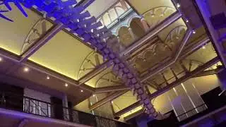 Blue Whale 🐳 skeleton in the museum #trending #museum #shorts #viral #bluewhales #blue 
