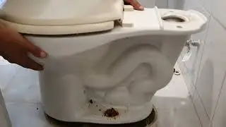 COMO CAMBIAR UN CUELLO DE CERA DE UNA TAZA WC, QUE FUGA AGUA POR EL PISO