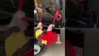 #monkey #babymonkey #adorablemonkey #short #poorbabymonkey #monkey2025