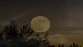 FREE | Dark Trap Beat | Full Moon | Horror Horrorcore | Rap Instrumental 2023