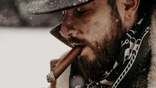 Solitude // A Cigar Bodega Short