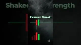 Shakeout: Bear Trap EXPOSED | VPA Entry/Stop/Target