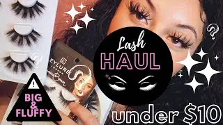 HOW TO APPLY FALSE LASHES WITHOUT LINER + LASH HAUL FROM AMAZON +DRUGSTORE ! *25 MM*