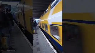 Ns virm