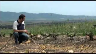 Mischa Cabernet Sauvignon