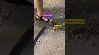 Браузер. Service worker. Жизненный цикл #education #qa #memes