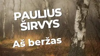 Paulius Širvys - Aš beržas