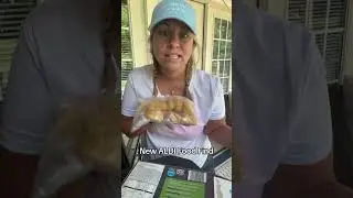 #aldifinds #tastetest #aldi #tatertots #foodreviews @ALDI USA