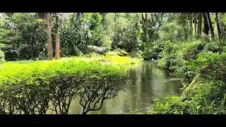 Mandai Wildlife Reserve - Singapore Zoo