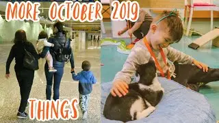 1st Visitor to 🇨🇦 + Cat Cafe | Calgary Vlog!