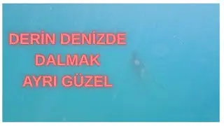 MUĞLA AKYAKA ORMAN KAMPI /BURUN /72 MERDİVEN/ALBAY KOYU /AKYAKA SAHİLİ VE AZMAK  AKYAKA AZMAK NEHRİ