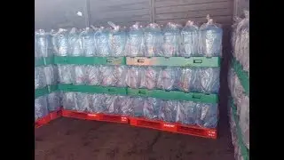 5 gallon water bottle / jugs storage ideas - Plastic pallets for 5 gallons water bottles loading