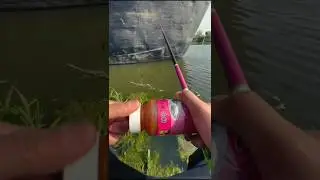 Fishing with red stuff on river 🐟🥰 #fishing #shorts #carpfishing #bestfishingrod #fishvideo