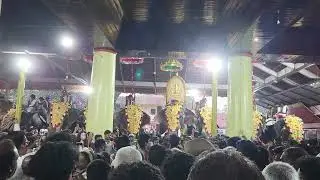 Kodungallur Thalappoli #elephant #indianelephant #keralaelephant #no1 #viral #shorts #trending 
