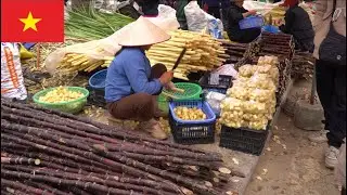 Inside Bac Ha Sunday Market – Vietnam’s Most Colorful Highland Fair