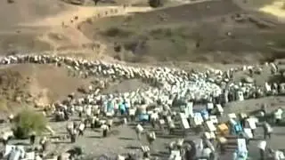 ژیانی كۆڵبەرەكان لە كوردستان