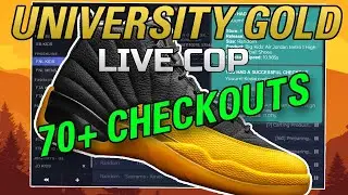 Live Cop | Jordan 12 