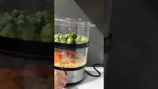 Food steamer