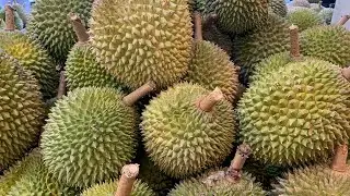 Soon Guo Malaysia Durian, Block 25A Chai Chee Road #01-451
