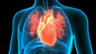February is American Heart Month