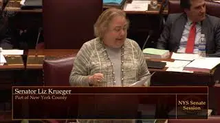 Sen. Krueger Speaking On The Climate Leadership And Community Protection Act