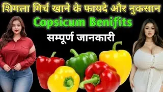शिमला मिर्च खाने के फायदे और नुकसान।Eating Capsicum Benifits। Capcicum कोन न खाए?कब ना खाए?