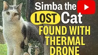 Lost Cat Simba Found With Thermal Drone - Florida Pet Recovery 