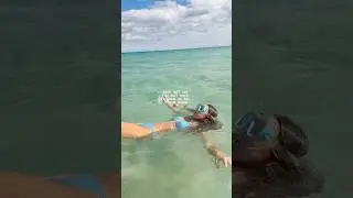 I love how crystal clear the water is😍🏝️ #ocean #swim #Summer #beach #water #snorkeling #waves